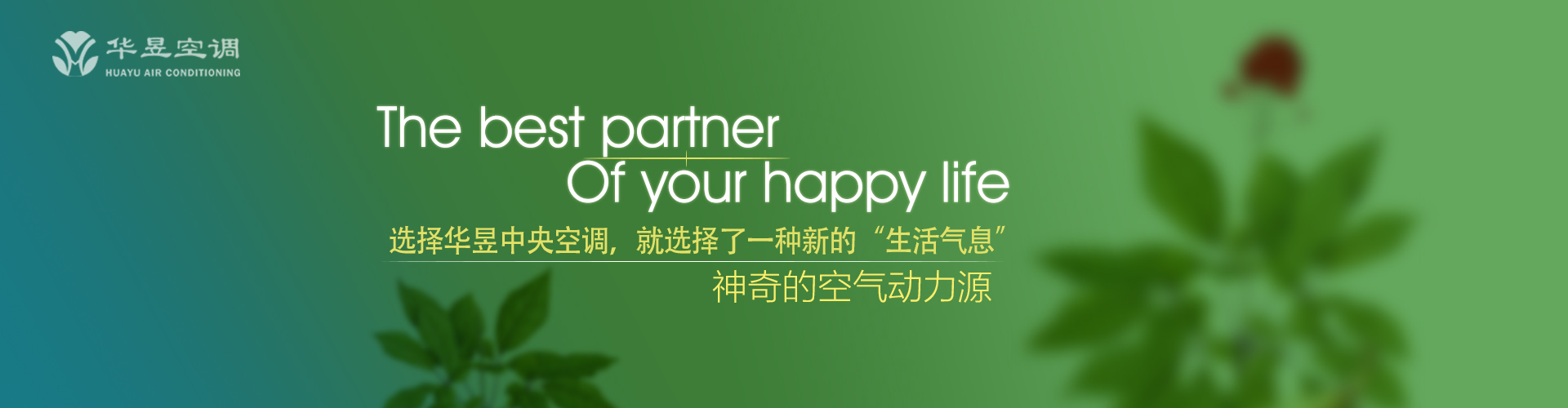 不偢不倸网
